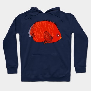 Golden Angelfish Hoodie